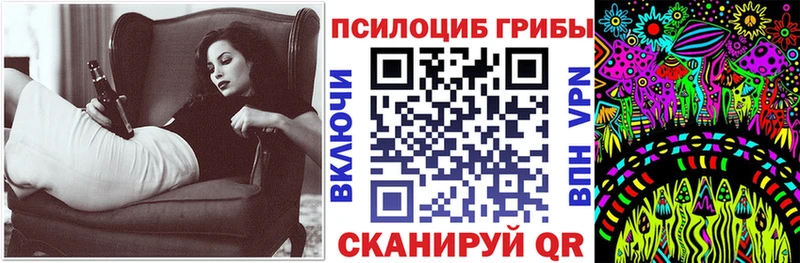 Псилоцибиновые грибы Psilocybe  OMG маркетплейс  Волжск 