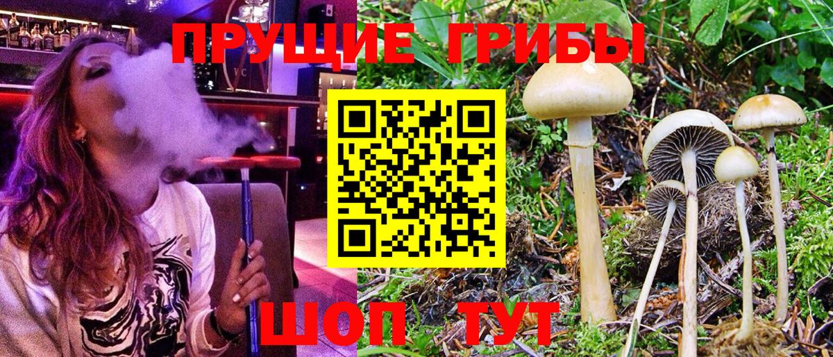 Псилоцибиновые грибы ЛСД  Вход с VPN  Галлюциногенные грибы MAGIC MUSHROOMS  Волжск 